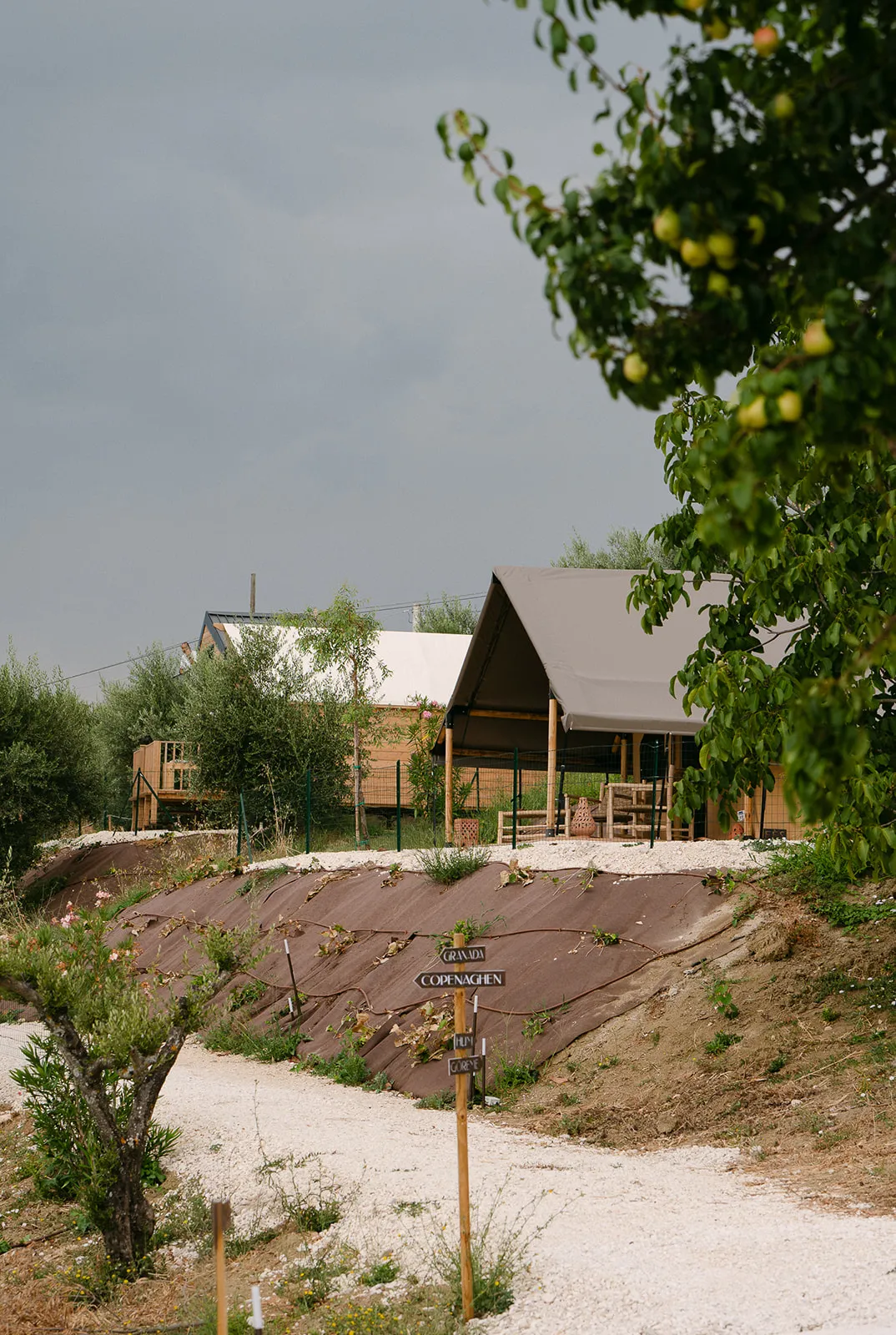 Lodge Fes e Göreme